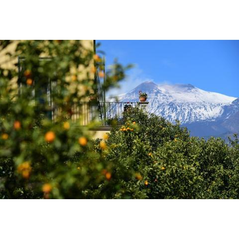 Giardino Arancio