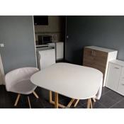 Grand appartement proche paris