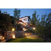 Great Pelion Villa Villa Selini 4 bedrooms Private Pool Aghios Georgios