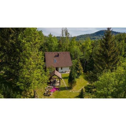 Holiday house with a parking space Lokve, Gorski kotar - 18226