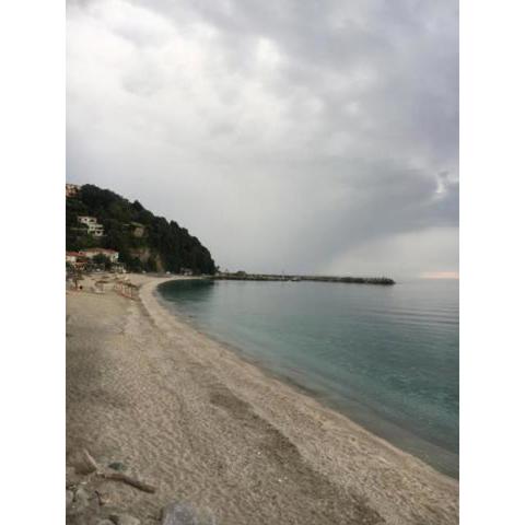 IVAS Pelion