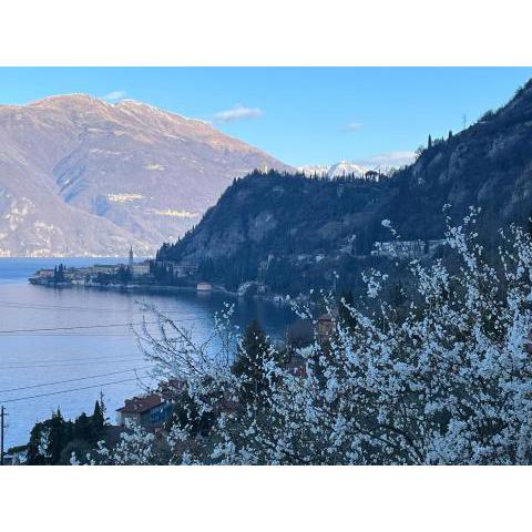 La punta di Varenna - CIR 097084-CNI-00104