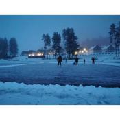 Lipno-Lake