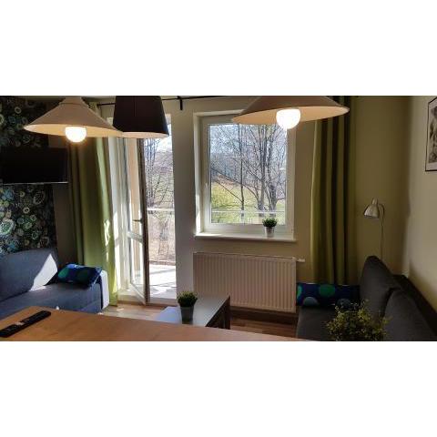 MJ Apartament Kamienna Wisła