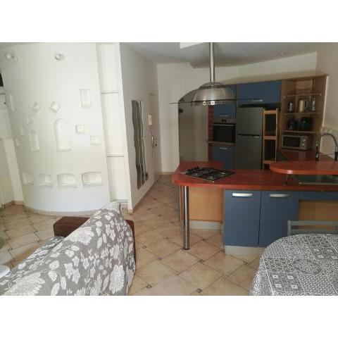 Montpellier logement 70 m2 à 5 min gare St Roch