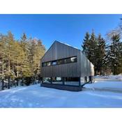 NEW: Chalet Dachstein