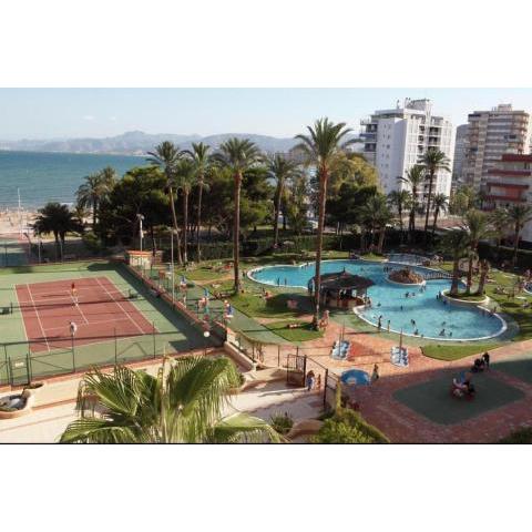 NUEVO, primera linea de playa, con piscina y vistas al mar