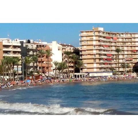 One bedroom appartement at Torrevieja 200 m away from the beach with terrace and wifi