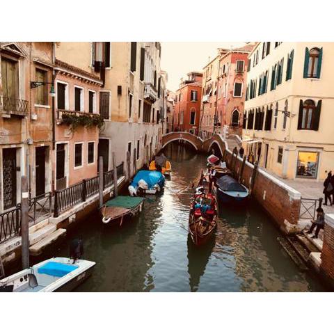 Pink House in Venice city center