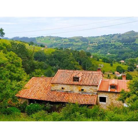 Precioso apartamento en plena naturaleza