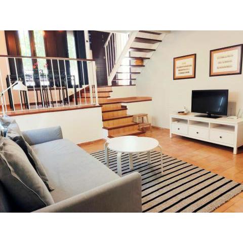 PRECIOSO LOFT en PALACIO DE GODOY