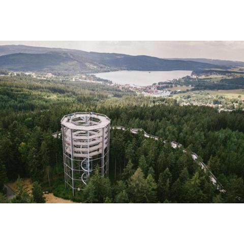 Promenáda Jasmin Lucy - Myši v botě