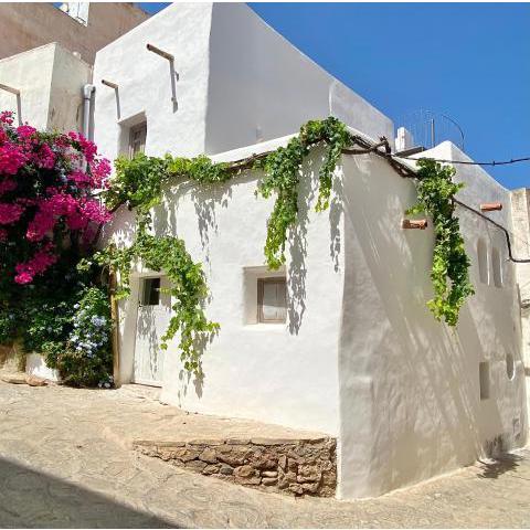 Renovated house in the historic center