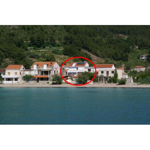 Rooms by the sea Zuljana, Peljesac - 3163