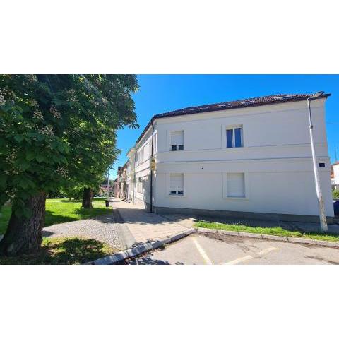 Rooms with a parking space Daruvar, Bjelovarska - 18842