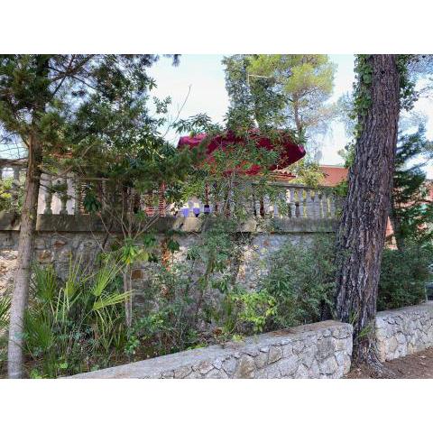 Seaside holiday house Artatore, Losinj - 8005