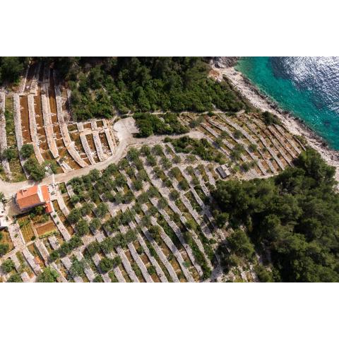 Seaside house for families with children Cove Zanavje, Korcula - 19224