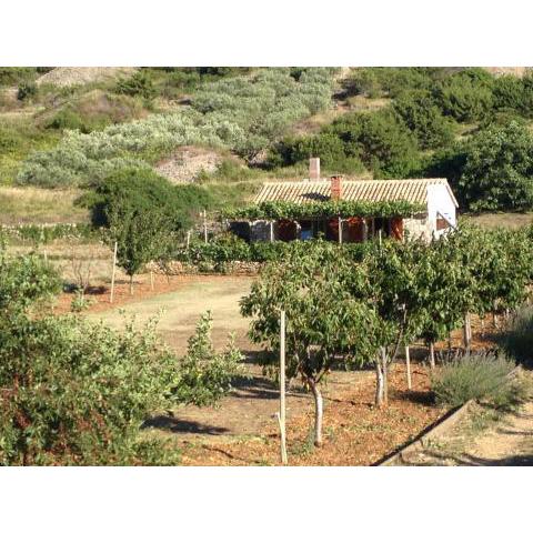 Secluded house with a parking space Podhumlje, Vis - 13984