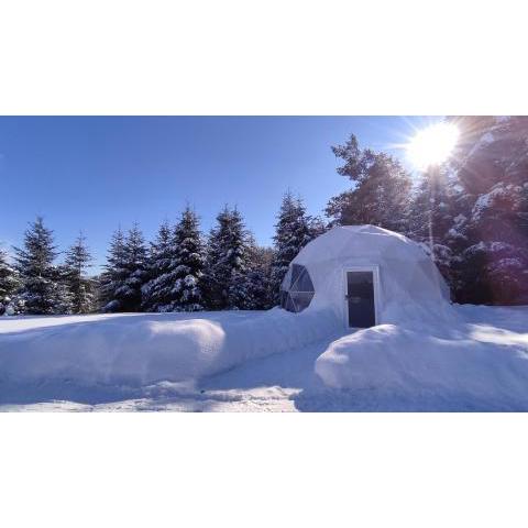 Silence Glamp - Glamping Bieszczady