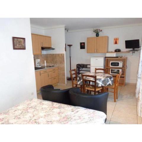 Studio Amélie-les-Bains-Palalda, 1 pièce, 2 personnes - FR-1-703-62