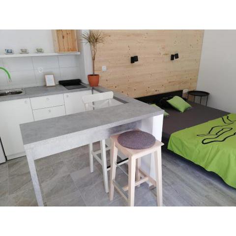 Studio apartman Fleiss