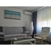 Studio apartman Toplica