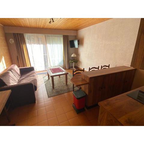 Studio La Chapelle-d'Abondance, 1 pièce, 4 personnes - FR-1-692-65