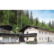 Stunning apartment in Mühlbach am Hochkönig w/ WiFi and 2 Bedrooms