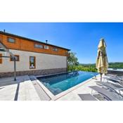 Stunning Villa with pool in Donja Poljana Croatia