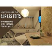 Sur les toits, studio centre-ville, WIFI Netflix