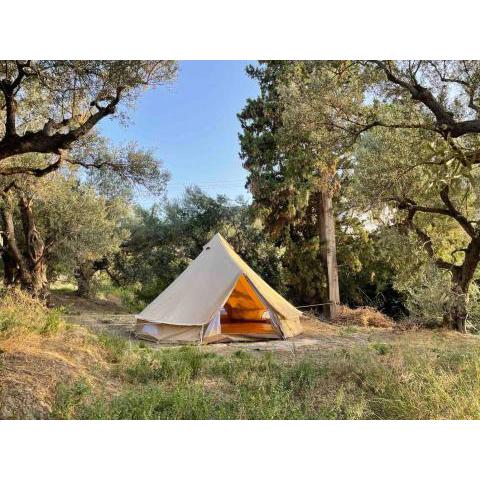 Tent by the sea, private toilet and kitchenette