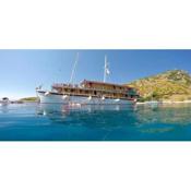 Traditional gulet, cruises & events