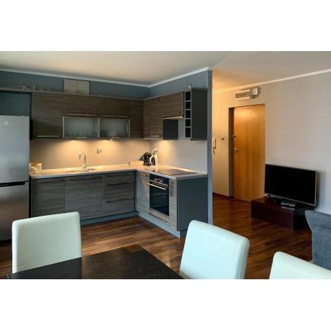 Uroczy apartament w centrum miasta