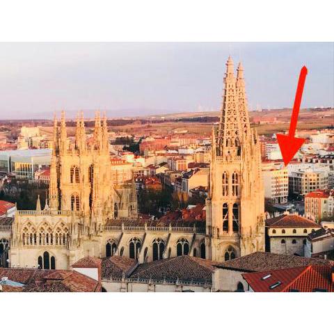 VIENDO LA CATEDRAL desde Plaza Vega