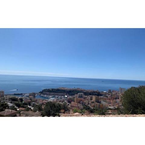 VILLA PROVENCALE VUE MONACO