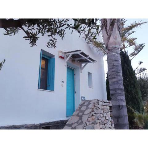 Villa Sofi in Saint George Antiparos (pool&sea)