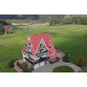 Villa Teddy Zakopane Murzasichle - Entire house to yourself in a quiet neighborhood