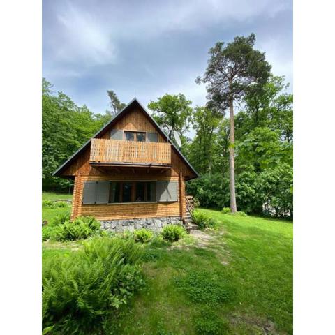 Wooden house in the nature