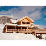 Wooden Luxury Chalet Murmeltierh tte in Hohentauern with Sauna